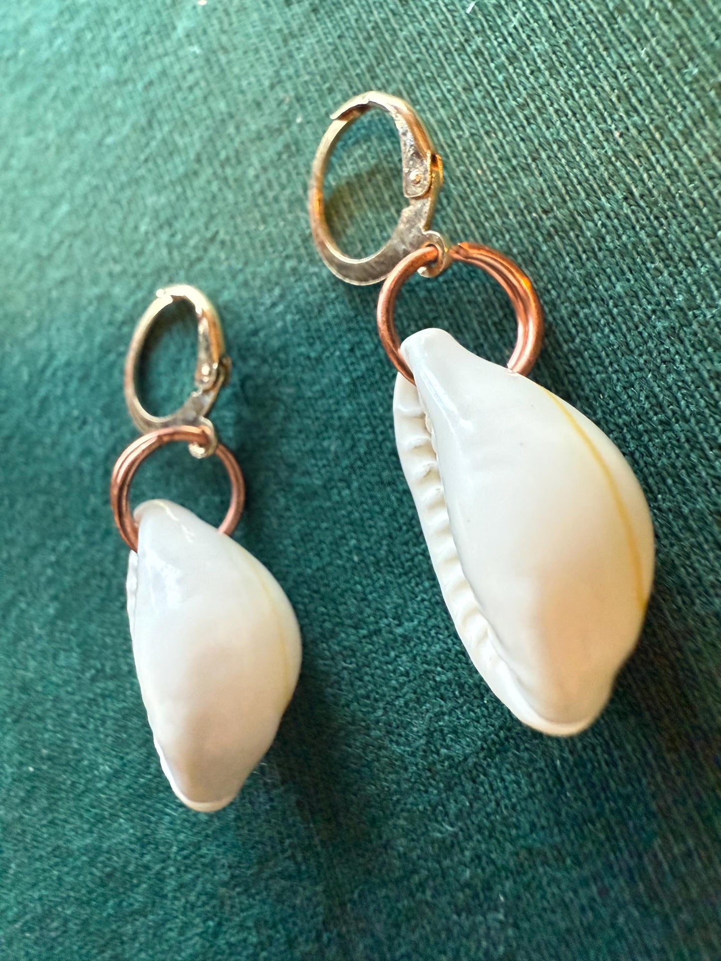 Cowrie Shell Earrings