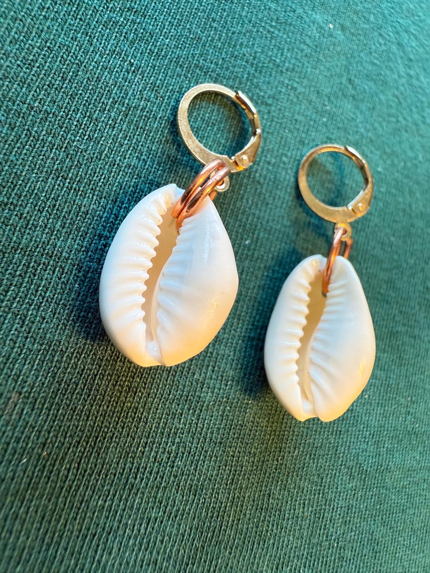 Cowrie Shell Earrings